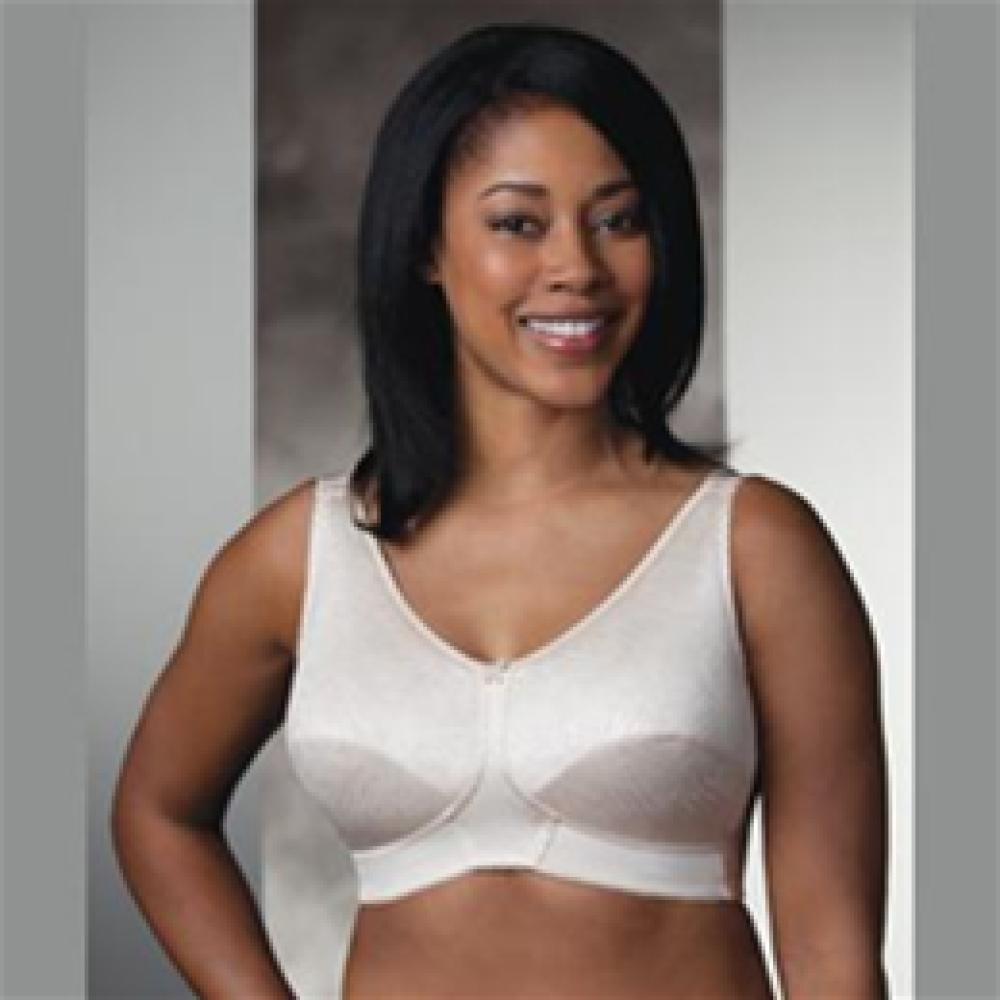 Image for product - Rose - 297